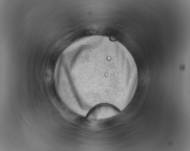 X0000112740130200909171210