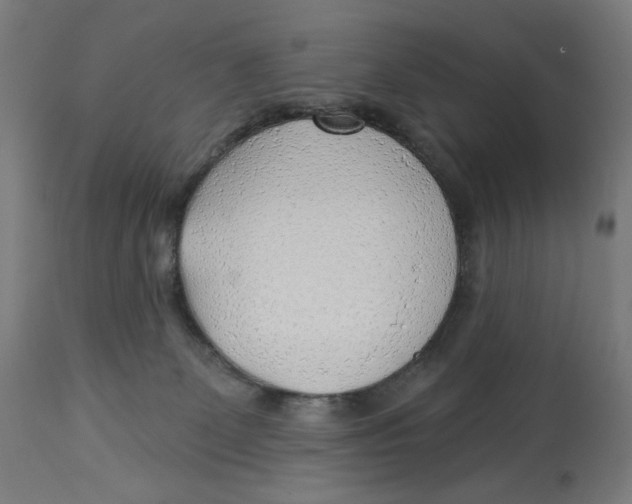 X0000112740131200909171210