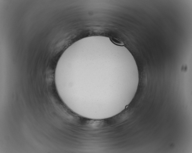 X0000112740135200909171210