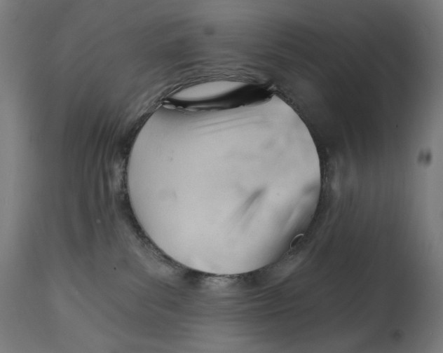 X0000112740139200909171210