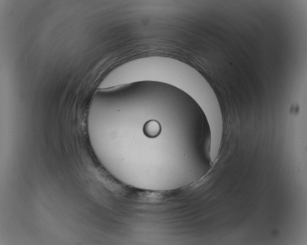 X0000112740140200909171210