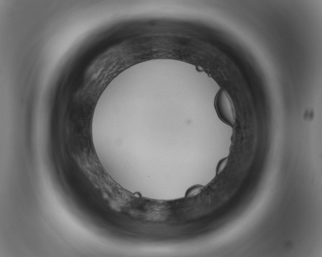 X0000112740143200909171210