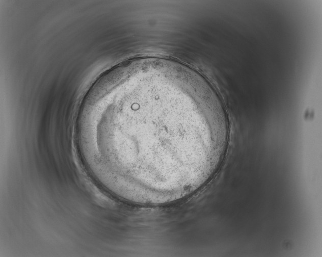 X0000112740145200909171209