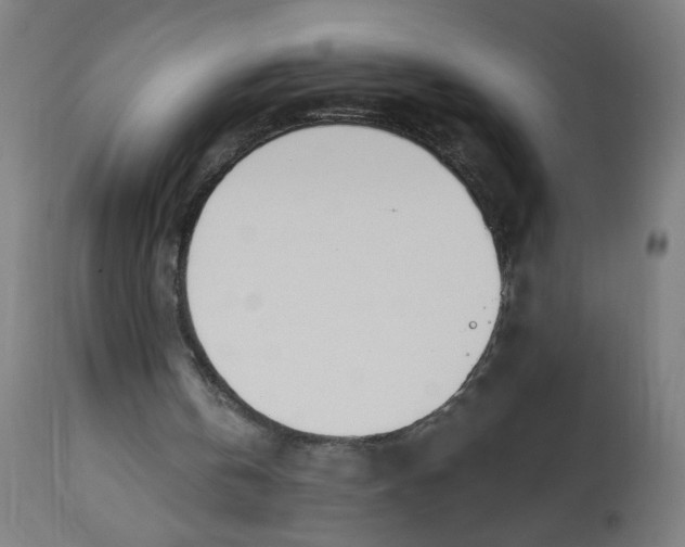 X0000112740146200909171209