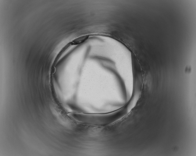 X0000112740148200909171209