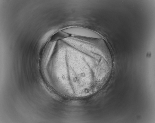 X0000112740149200909171209