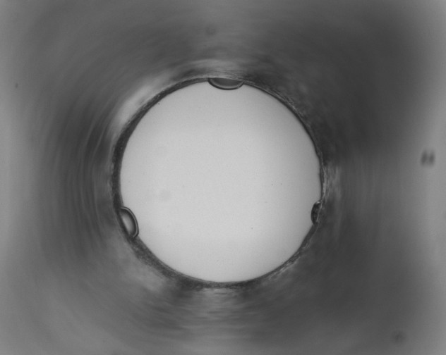 X0000112740150200909171209