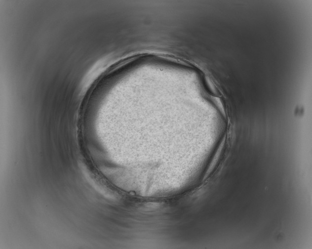 X0000112740151200909171209