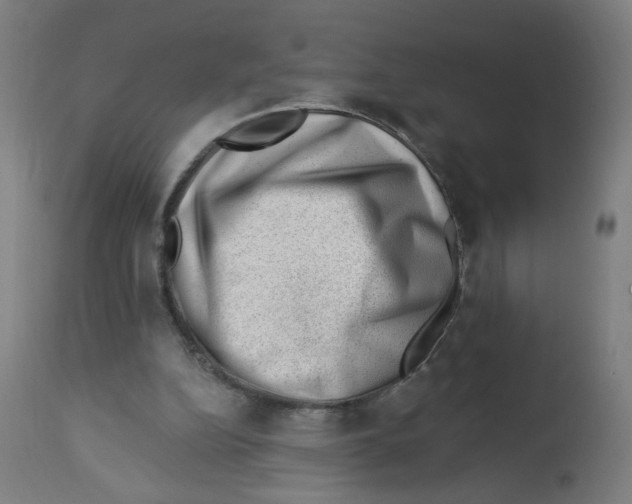 X0000112740152200909171209