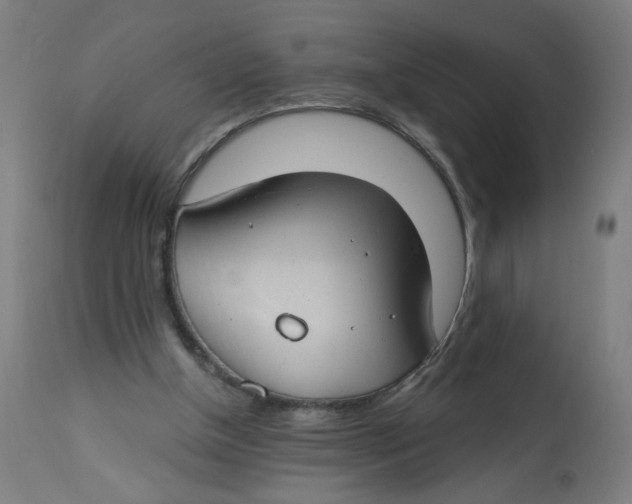 X0000112740154200909171209