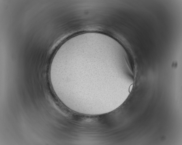 X0000112740155200909171209