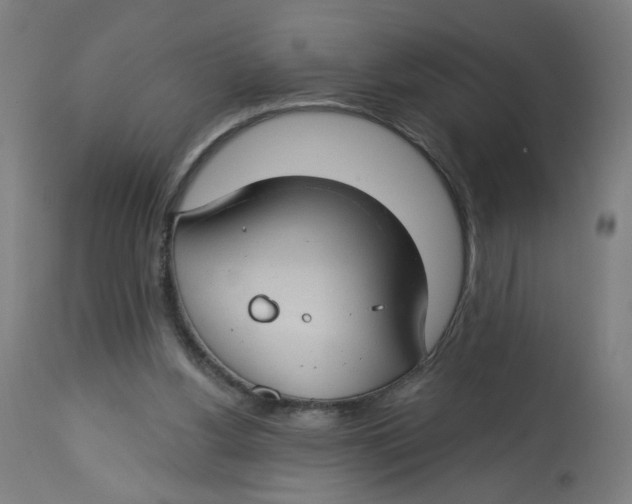 X0000112740156200909171209