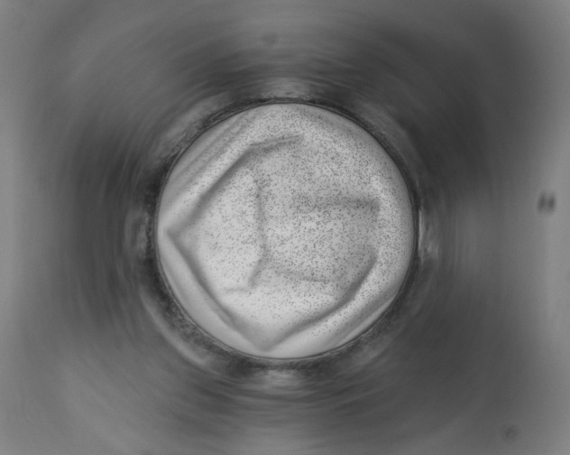 X0000112740157200909171209