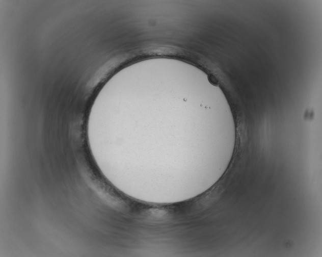 X0000112740159200909171209