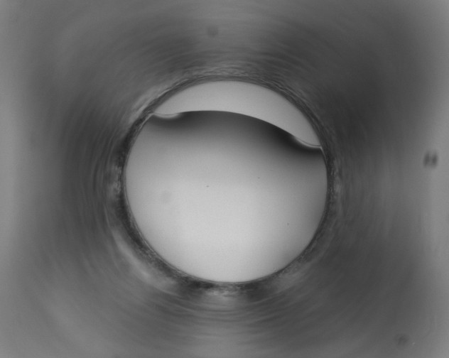 X0000112740164200909171209