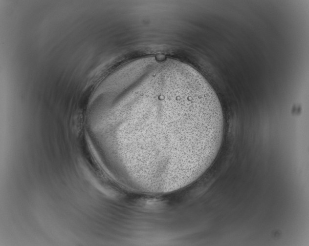 X0000112740165200909171209