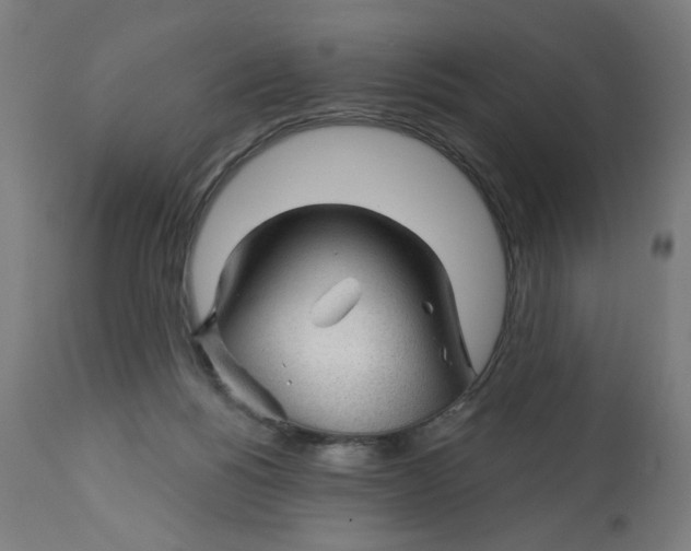 X0000112740168200909171210