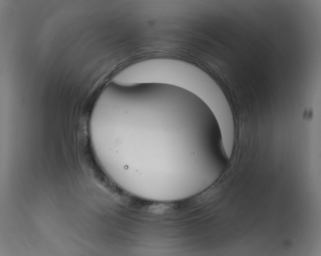 X0000112740172200909171210