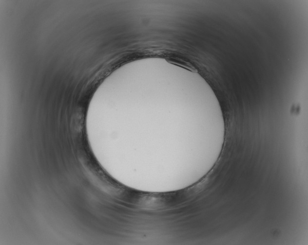 X0000112740174200909171210