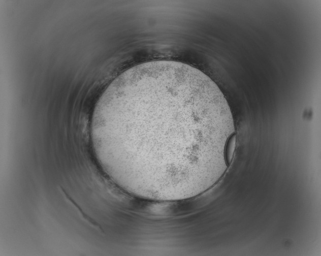 X0000112740178200909171210