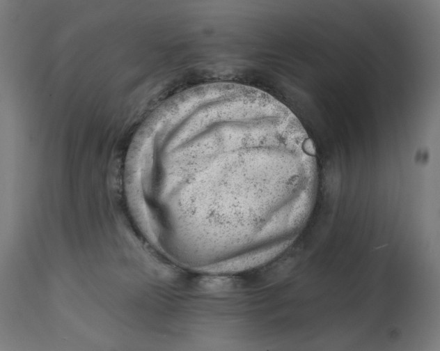 X0000112740181200909171210