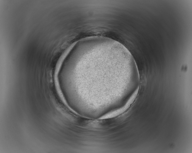 X0000112740182200909171210