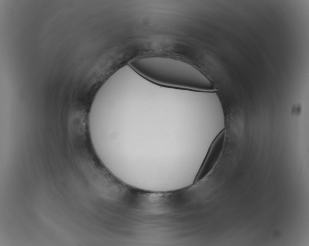 X0000112740184200909171210