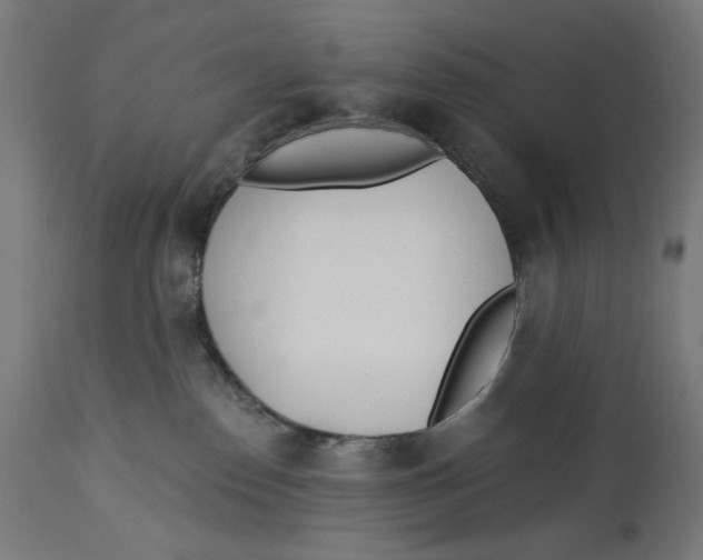 X0000112740186200909171210