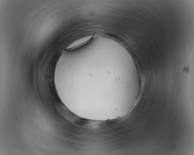 X0000112740190200909171210