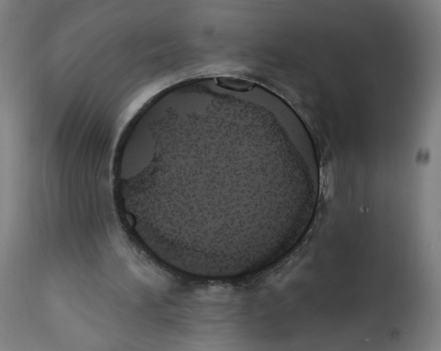 X0000112740196200909171209