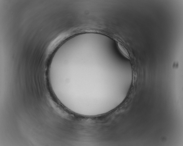 X0000112740197200909171209