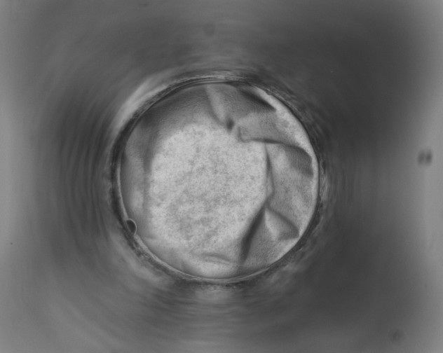 X0000112740198200909171209