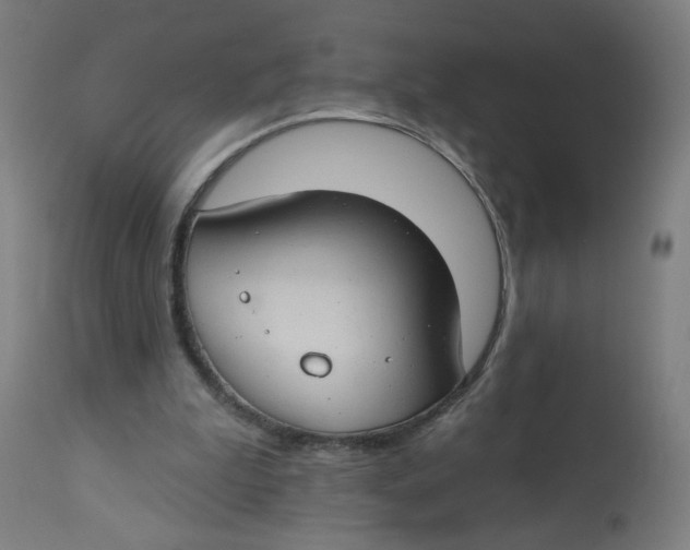 X0000112740199200909171209