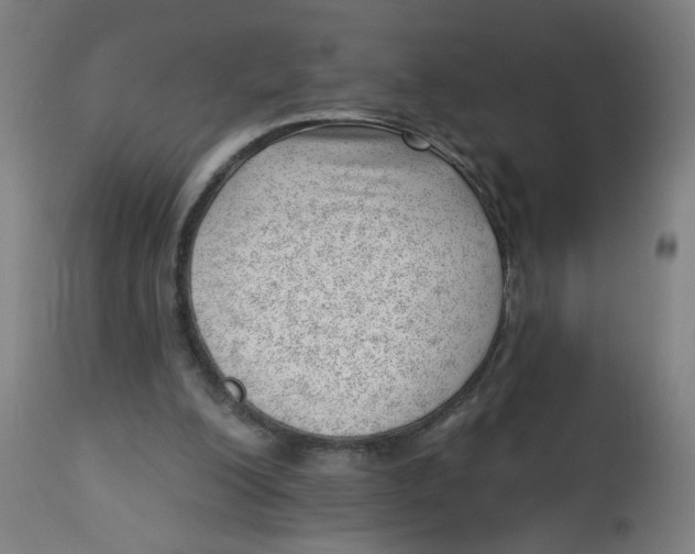 X0000112740200200909171209