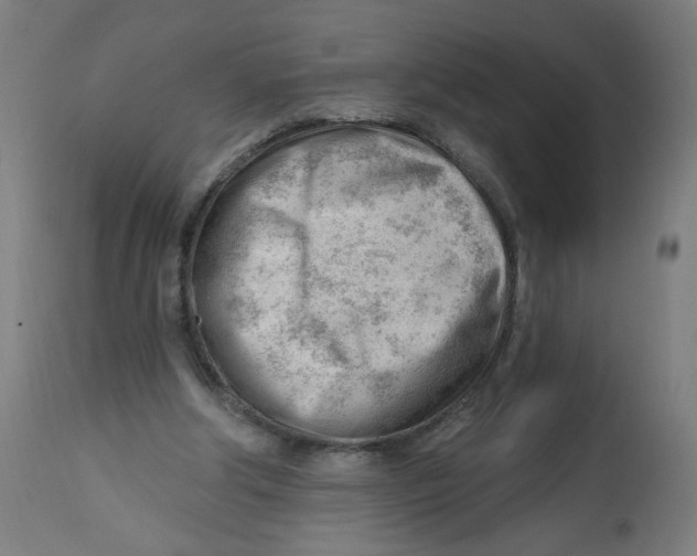 X0000112740202200909171209