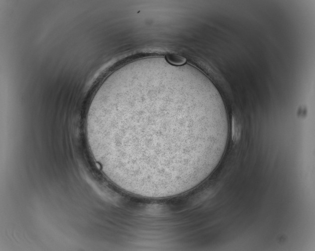 X0000112740204200909171209