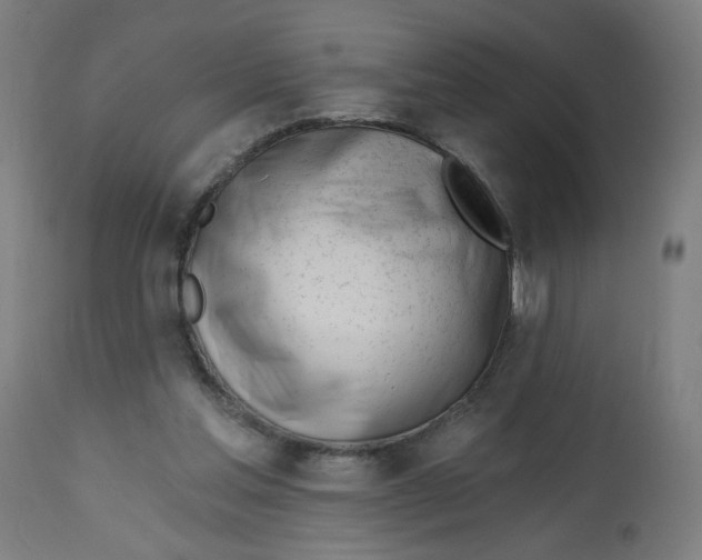 X0000112740205200909171209