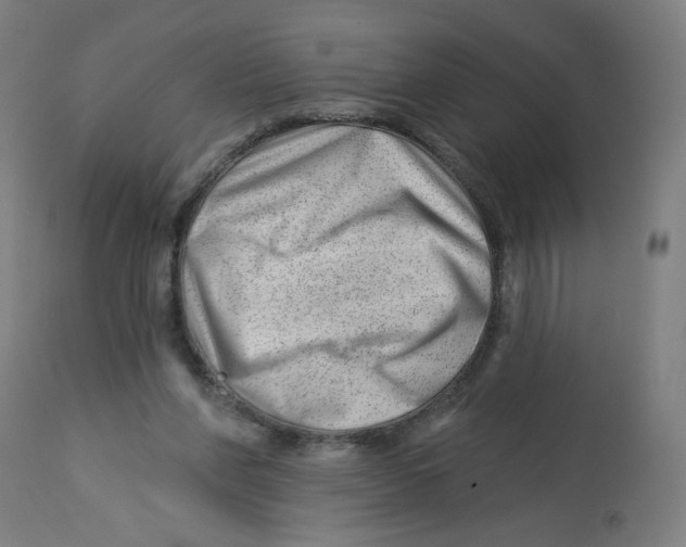 X0000112740206200909171209