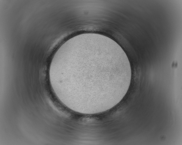 X0000112740208200909171209