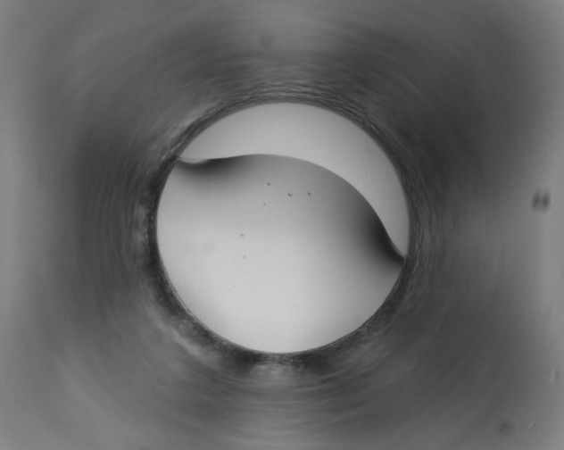 X0000112740211200909171209