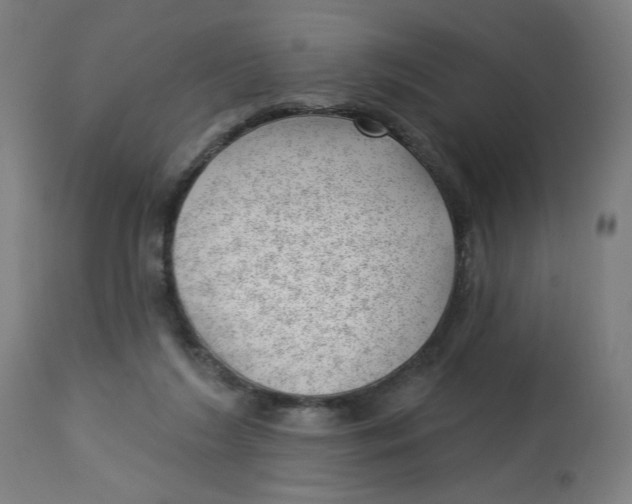 X0000112740212200909171209