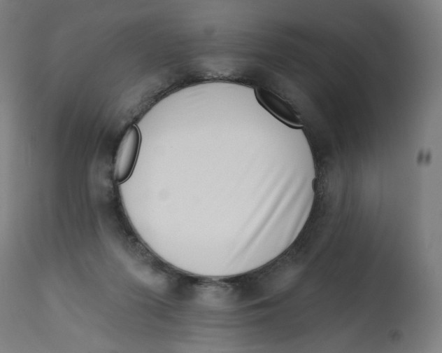 X0000112740215200909171209