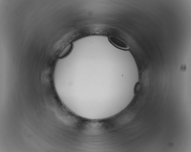 X0000112740217200909171209