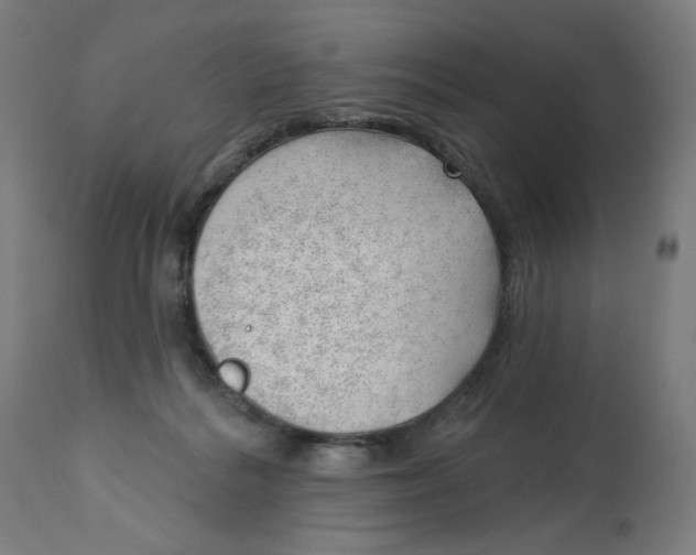 X0000112740220200909171208