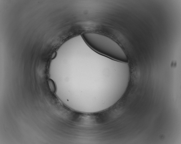 X0000112740221200909171208