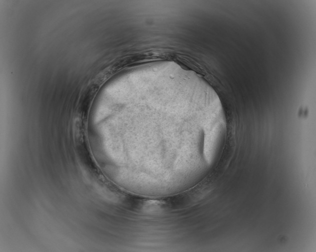 X0000112740222200909171208