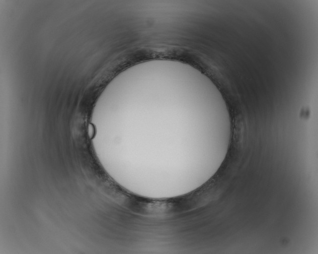 X0000112740225200909171208