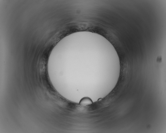 X0000112740226200909171208