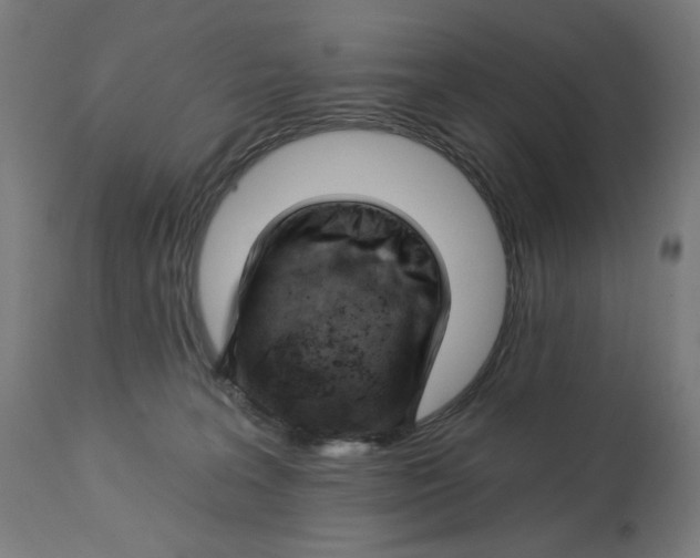 X0000112740227200909171208