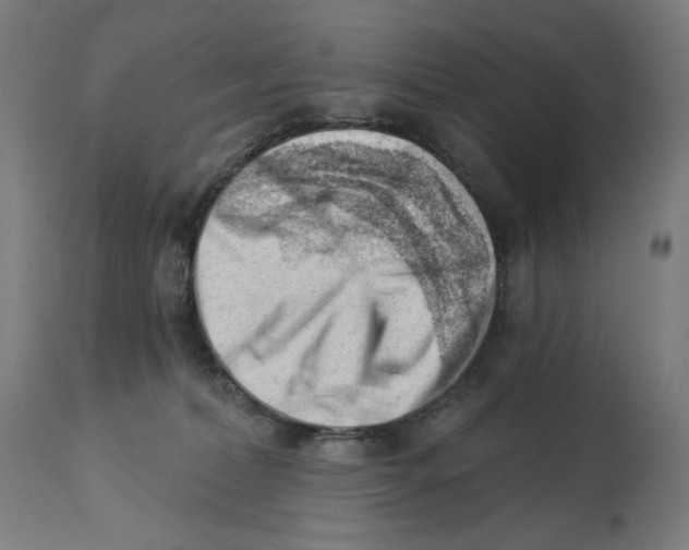 X0000112740228200909171208